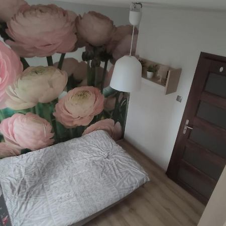 Apartament Apartament Dlugie Ogrody 36 Gdańsk Zewnętrze zdjęcie